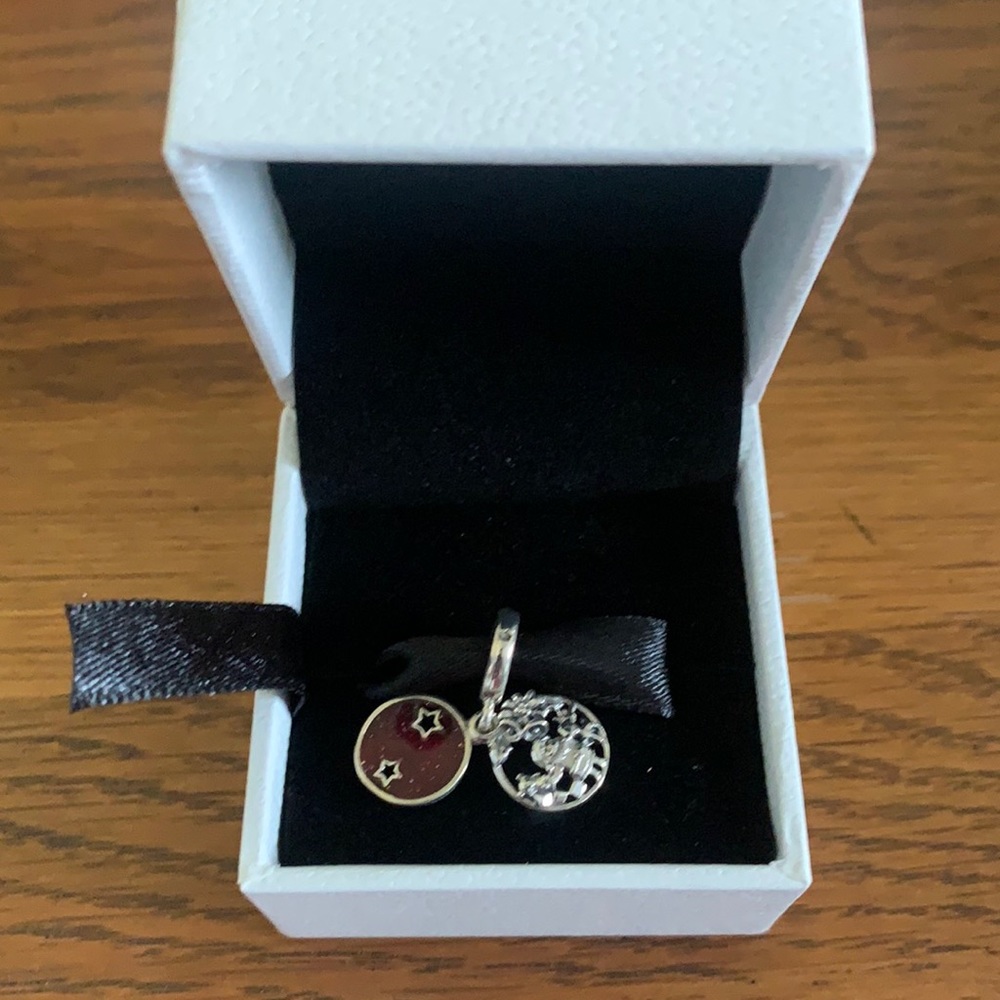 Brand new Pandora box and charm